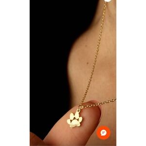 Do you have a dog named Cooper?